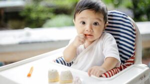 Snack Bayi Sehat Babyempire Ivenet